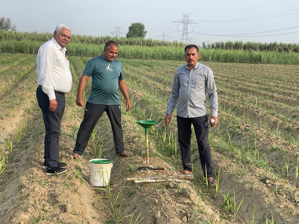 Soil Testing