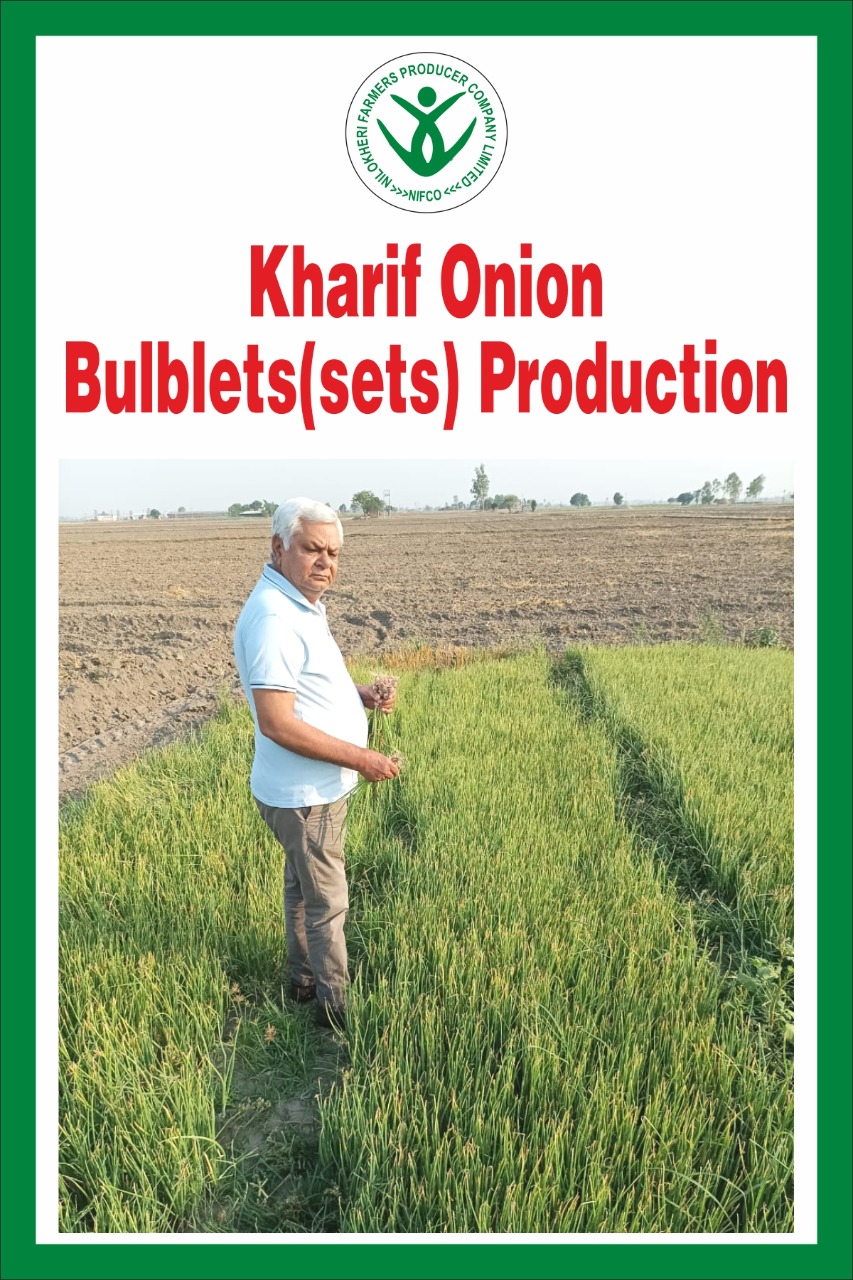 Seed Production